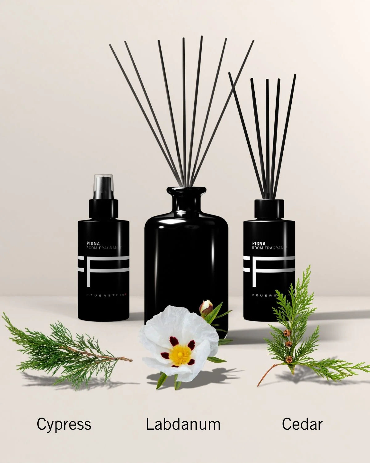 Raumduft mit Duftstäbchen Pigna 500ml