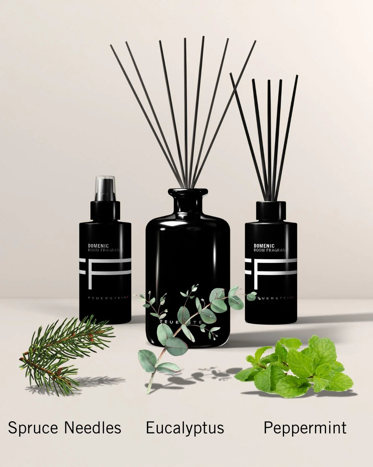 Raumduft mit Duftstäbchen Domenic 500ml