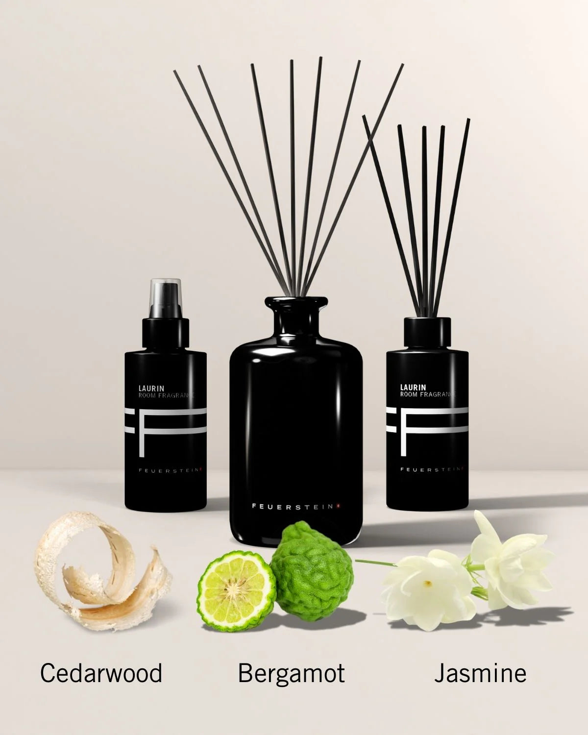 Profumo per ambienti con stick profumati Laurin 100ml